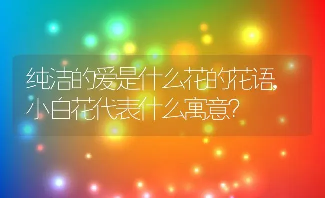 纯洁的爱是什么花的花语,小白花代表什么寓意？ | 养殖常见问题
