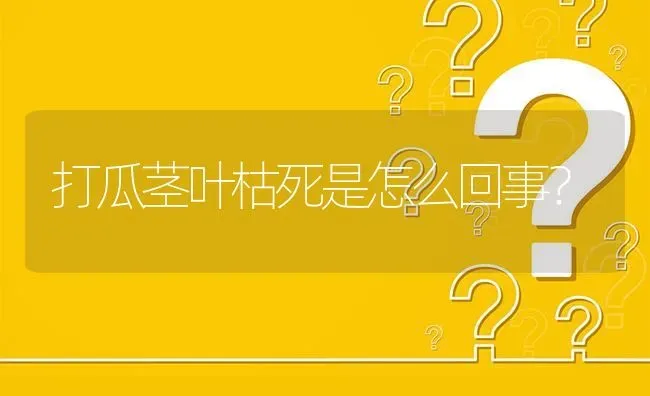 打瓜茎叶枯死是怎么回事? | 养殖问题解答