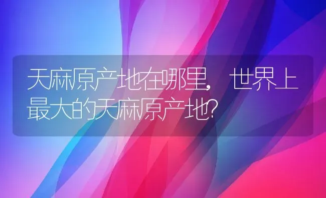 天麻原产地在哪里,世界上最大的天麻原产地？ | 养殖常见问题