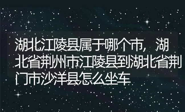 湖北江陵县属于哪个市,湖北省荆州市江陵县到湖北省荆门市沙洋县怎么坐车 | 养殖常见问题