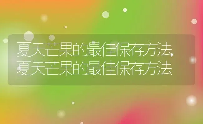 夏天芒果的最佳保存方法,夏天芒果的最佳保存方法 | 养殖常见问题