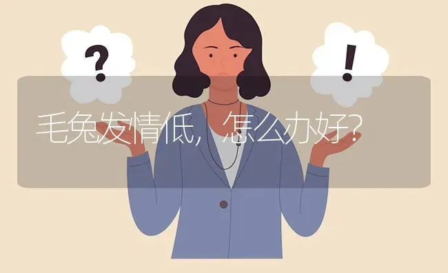 毛兔发情低,怎么办好? | 养殖问题解答