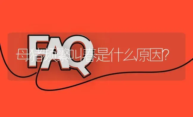 母猪频繁叫春是什么原因? | 养殖问题解答