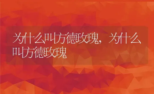 为什么叫方德玫瑰,为什么叫方德玫瑰 | 养殖常见问题