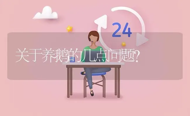 关于养鹅的几点问题? | 养殖问题解答