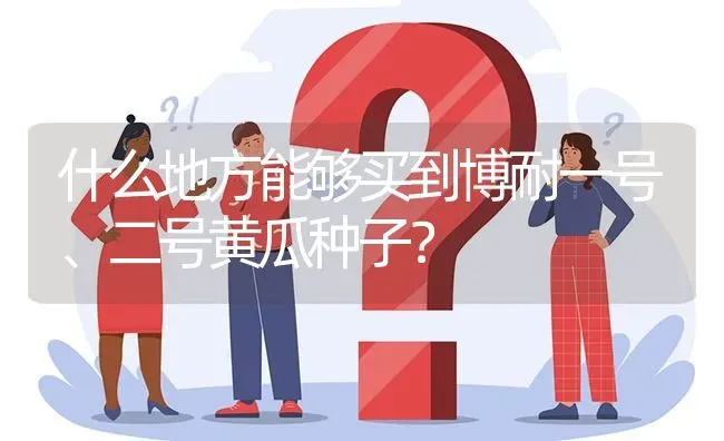 什么地方能够买到博耐一号、二号黄瓜种子? | 养殖问题解答