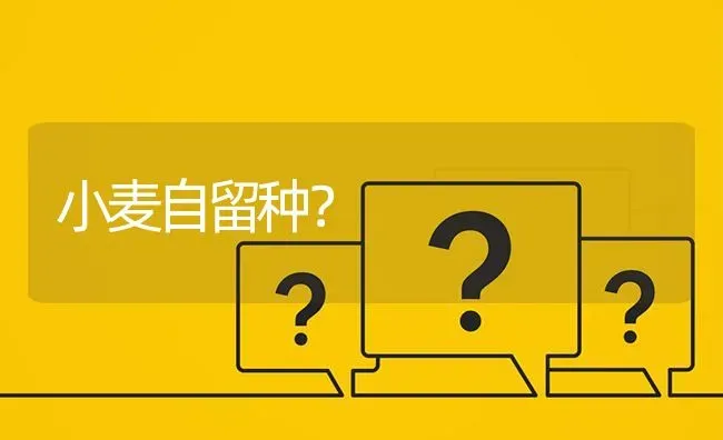 小麦自留种? | 养殖问题解答