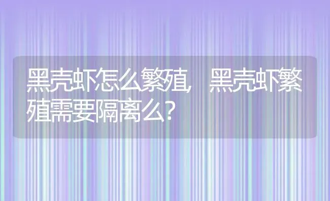 黑壳虾怎么繁殖,黑壳虾繁殖需要隔离么？ | 养殖常见问题