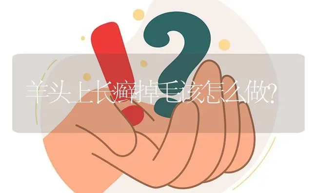 羊头上长癣掉毛该怎么做? | 养殖问题解答