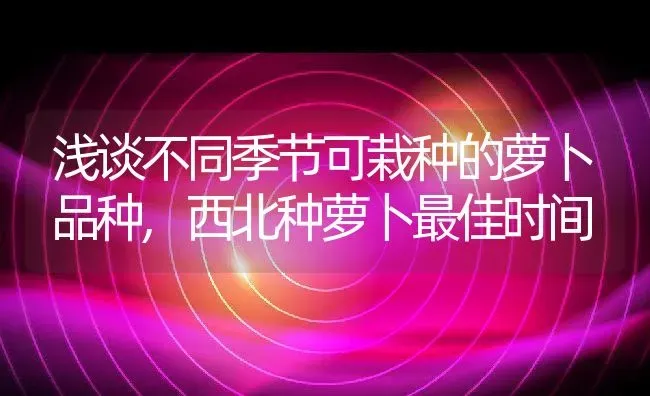 浅谈不同季节可栽种的萝卜品种,西北种萝卜最佳时间 | 养殖常见问题