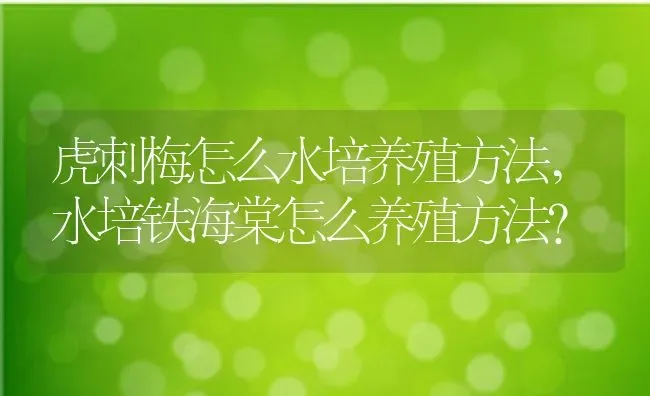 虎刺梅怎么水培养殖方法,水培铁海棠怎么养殖方法？ | 养殖常见问题