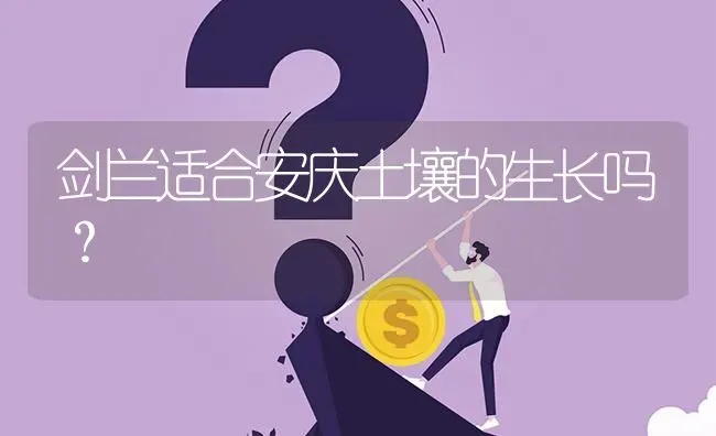 剑兰适合安庆土壤的生长吗? | 养殖问题解答