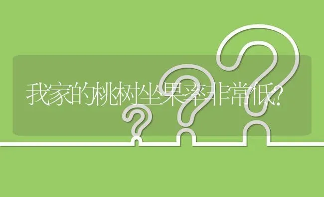我家的桃树坐果率非常低? | 养殖问题解答