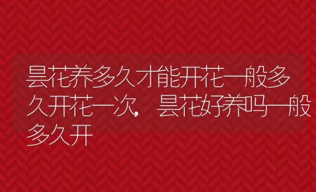 昙花养多久才能开花一般多久开花一次,昙花好养吗一般多久开 | 养殖常见问题