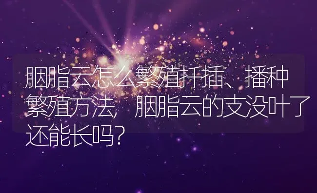 胭脂云怎么繁殖扦插、播种繁殖方法,胭脂云的支没叶了还能长吗？ | 养殖常见问题