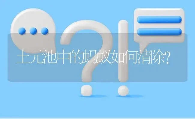 土元池中的蚂蚁如何清除? | 养殖问题解答