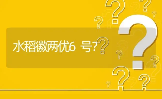 水稻徽两优6号? | 养殖问题解答