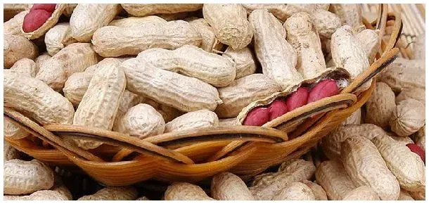 花生怎么种植方法 | 农业答疑