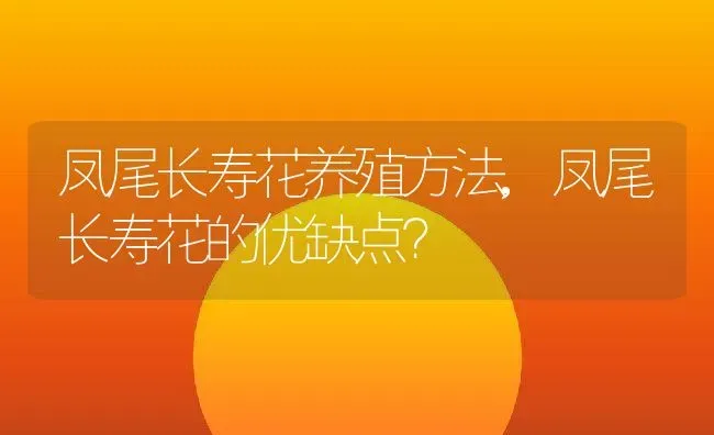 凤尾长寿花养殖方法,凤尾长寿花的优缺点？ | 养殖常见问题