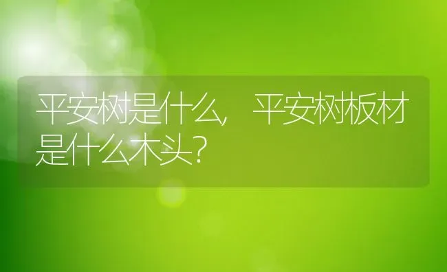 平安树是什么,平安树板材是什么木头？ | 养殖常见问题