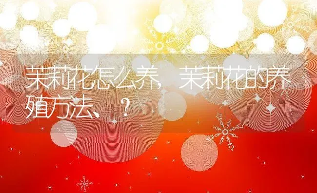 茉莉花怎么养,茉莉花的养殖方法、？ | 养殖常见问题