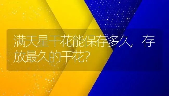 满天星干花能保存多久,存放最久的干花？ | 养殖常见问题