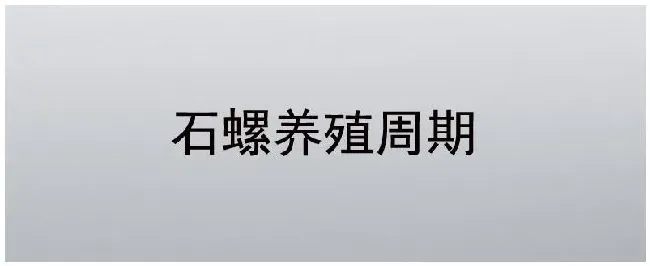 石螺养殖周期 | 科普知识