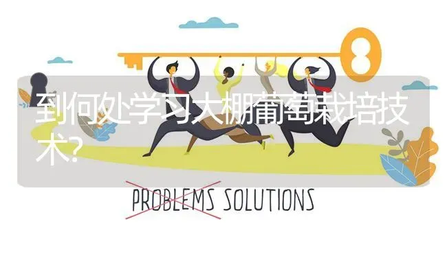 到何处学习大棚葡萄栽培技术? | 养殖问题解答