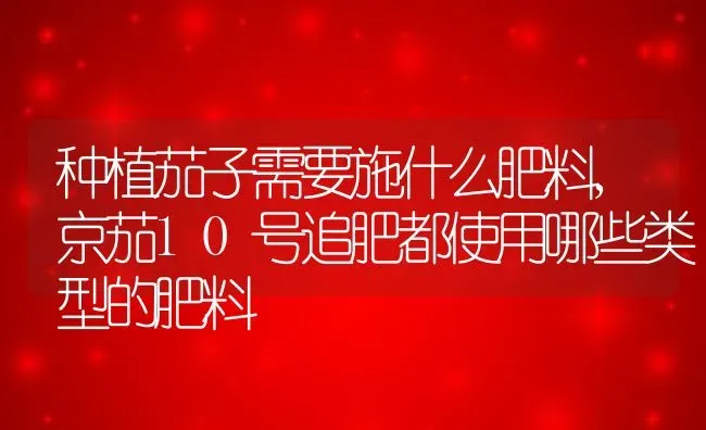 种植茄子需要施什么肥料,京茄10号追肥都使用哪些类型的肥料 | 养殖常见问题