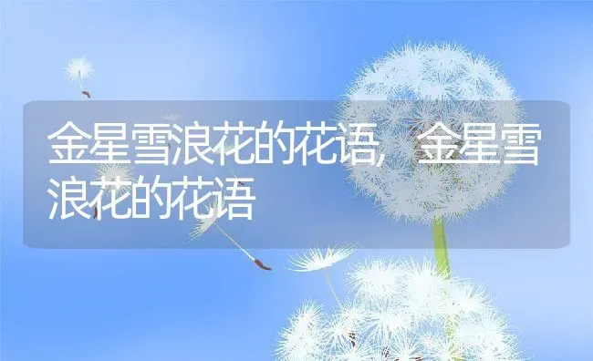 金星雪浪花的花语,金星雪浪花的花语 | 养殖常见问题