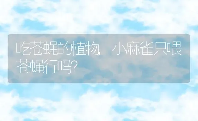 吃苍蝇的植物,小麻雀只喂苍蝇行吗？ | 养殖常见问题