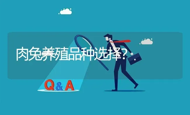 肉兔养殖品种选择? | 养殖问题解答