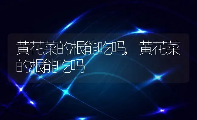 姜荷花是什么,姜荷花的花语是什么？ | 养殖常见问题