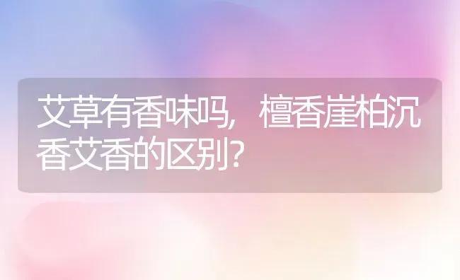 艾草有香味吗,檀香崖柏沉香艾香的区别？ | 养殖常见问题