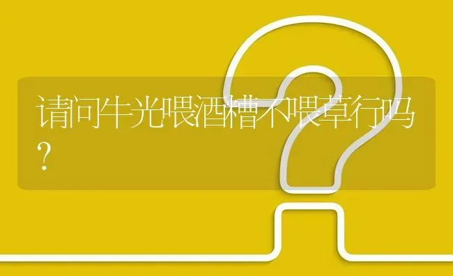 请问牛光喂酒糟不喂草行吗? | 养殖问题解答