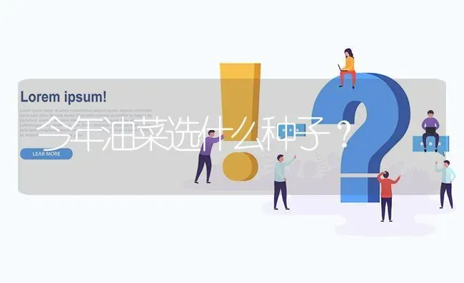 今年油菜选什么种子? | 养殖问题解答