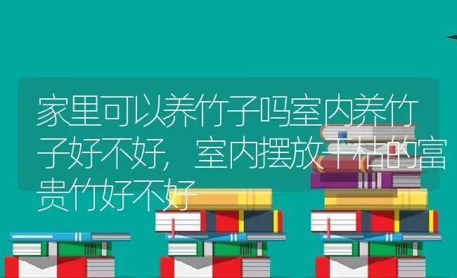 家里可以养竹子吗室内养竹子好不好,室内摆放干枯的富贵竹好不好 | 养殖常见问题