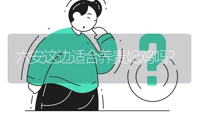 六安这边适合养贵妃鸡吗? | 养殖问题解答