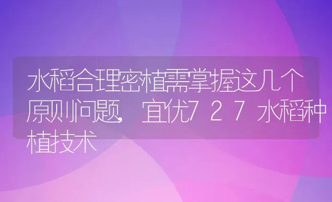 水稻合理密植需掌握这几个原则问题,宜优727水稻种植技术 | 养殖常见问题