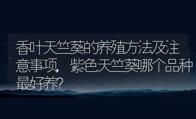 香叶天竺葵的养殖方法及注意事项,紫色天竺葵哪个品种最好养？ | 养殖常见问题