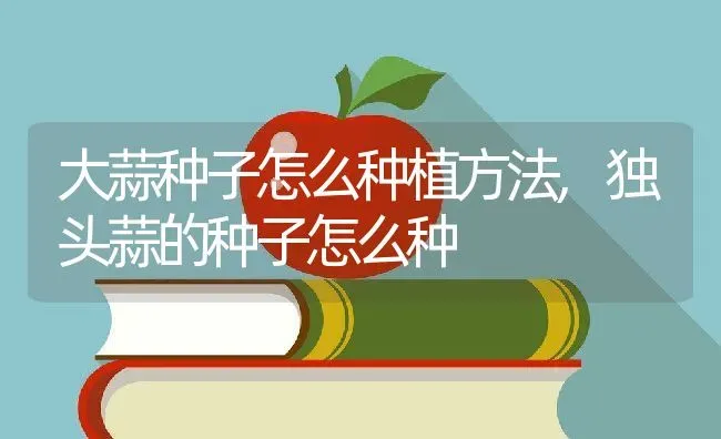 大蒜种子怎么种植方法,独头蒜的种子怎么种 | 养殖常见问题