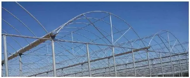 简易大棚怎么搭建养鸭大棚是怎样建造的 | 农业问题