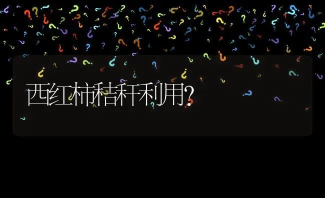 西红柿秸秆利用? | 养殖问题解答