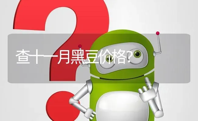 查十一月黑豆价格? | 养殖问题解答