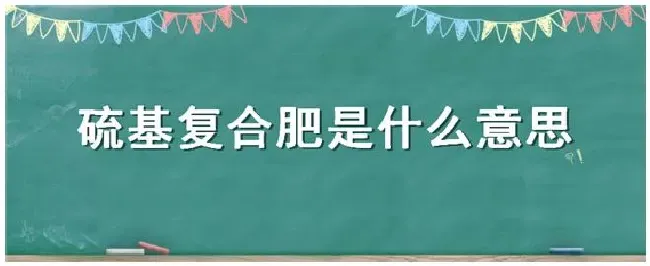 硫基复合肥是什么意思 | 农业问题