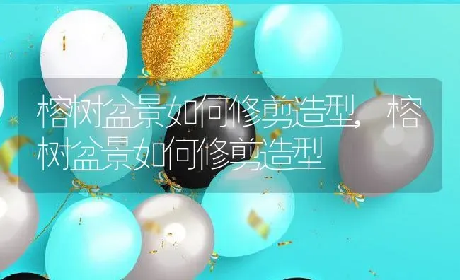 榕树盆景如何修剪造型,榕树盆景如何修剪造型 | 养殖常见问题
