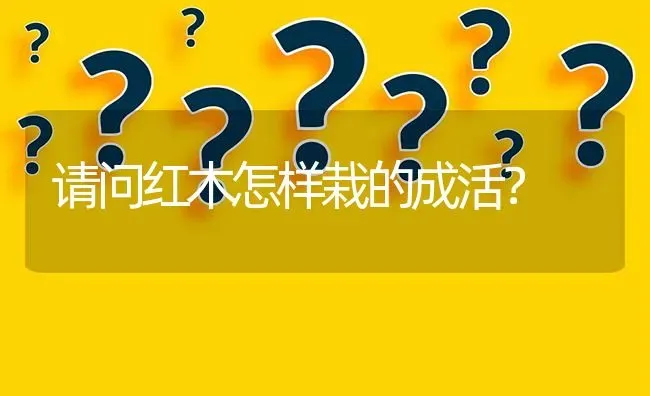 请问红木怎样栽的成活? | 养殖问题解答