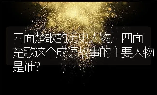 四面楚歌的历史人物,四面楚歌这个成语故事的主要人物是谁？ | 养殖常见问题