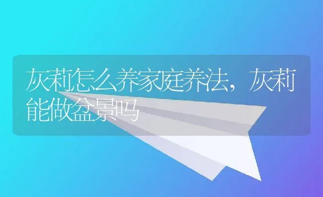 灰莉怎么养家庭养法,灰莉能做盆景吗 | 养殖常见问题