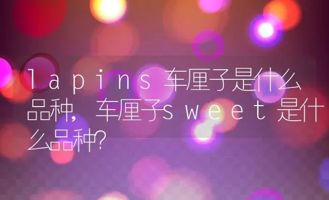 lapins车厘子是什么品种,车厘子sweet是什么品种？ | 养殖常见问题